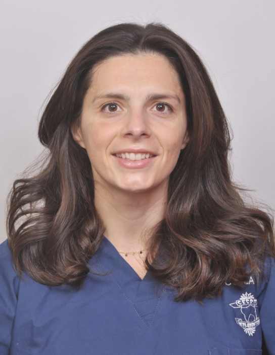 Dr Camille Collard, Chirurgien dentiste à Paris
