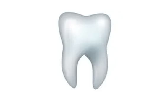 Dr Flavien Mouton, Chirurgien dentiste à Vinon-Sur-Verdon
