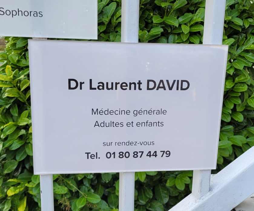 Dr Laurent DAVID