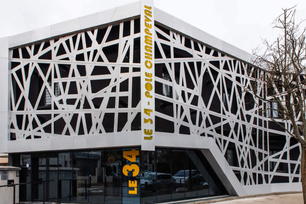 Dr Alice PERCIE DU SERT